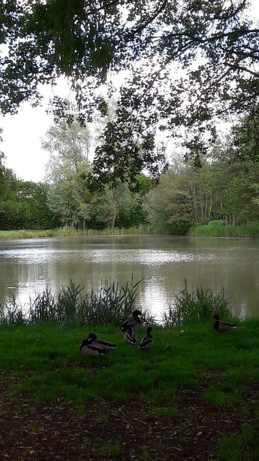 Entre Loire Et Cher Grand Gite "Cote Tilleul" Tour-en-Sologne Экстерьер фото