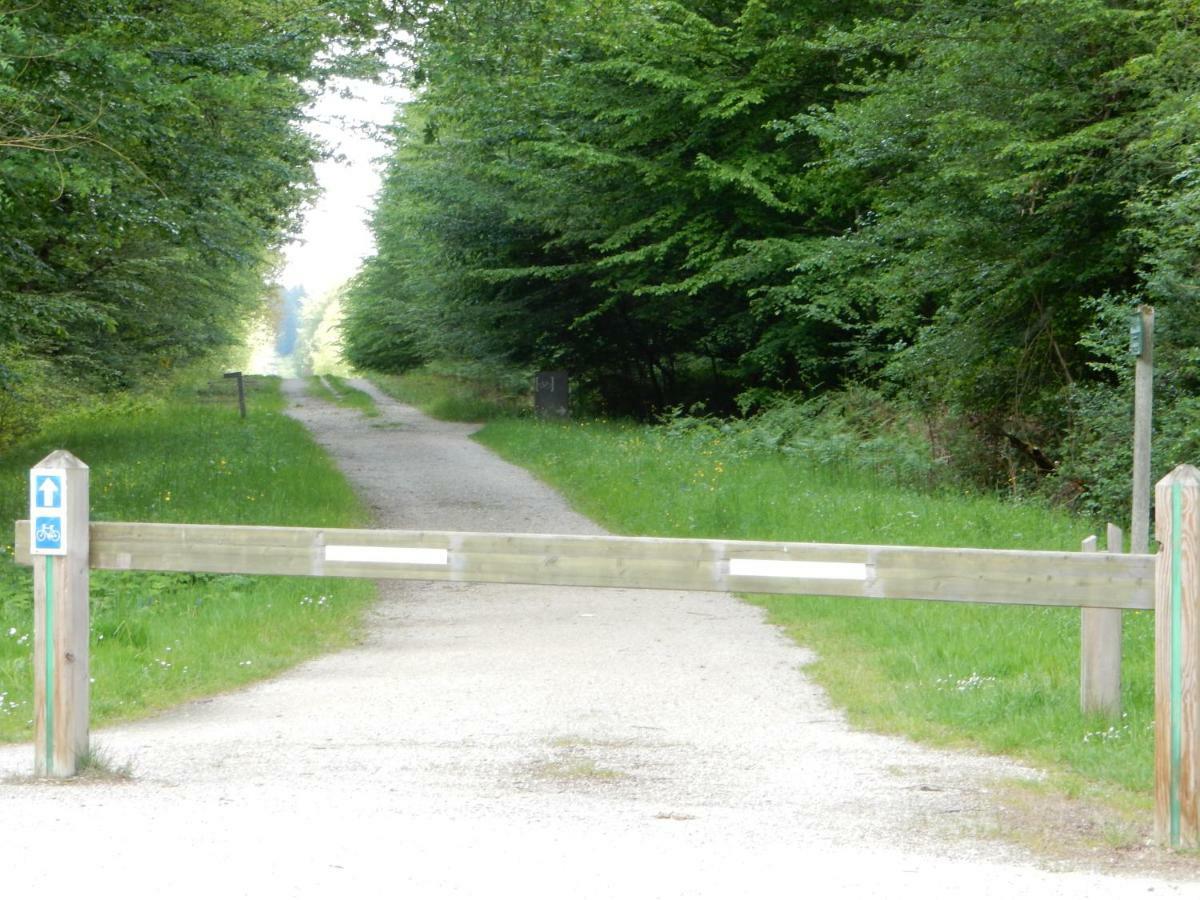 Entre Loire Et Cher Grand Gite "Cote Tilleul" Tour-en-Sologne Экстерьер фото