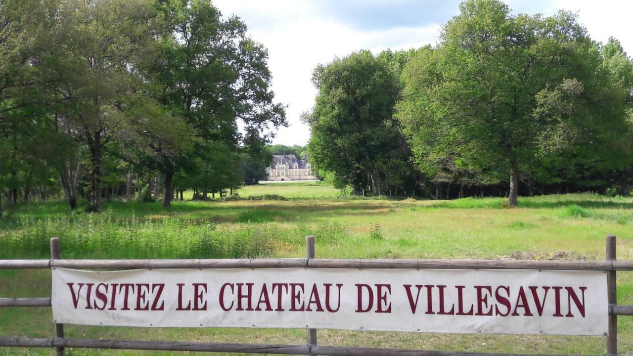 Entre Loire Et Cher Grand Gite "Cote Tilleul" Tour-en-Sologne Экстерьер фото