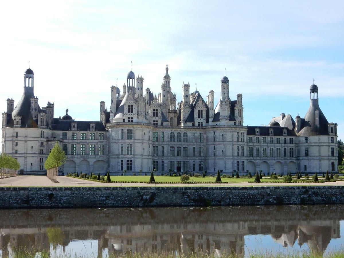 Entre Loire Et Cher Grand Gite "Cote Tilleul" Tour-en-Sologne Экстерьер фото